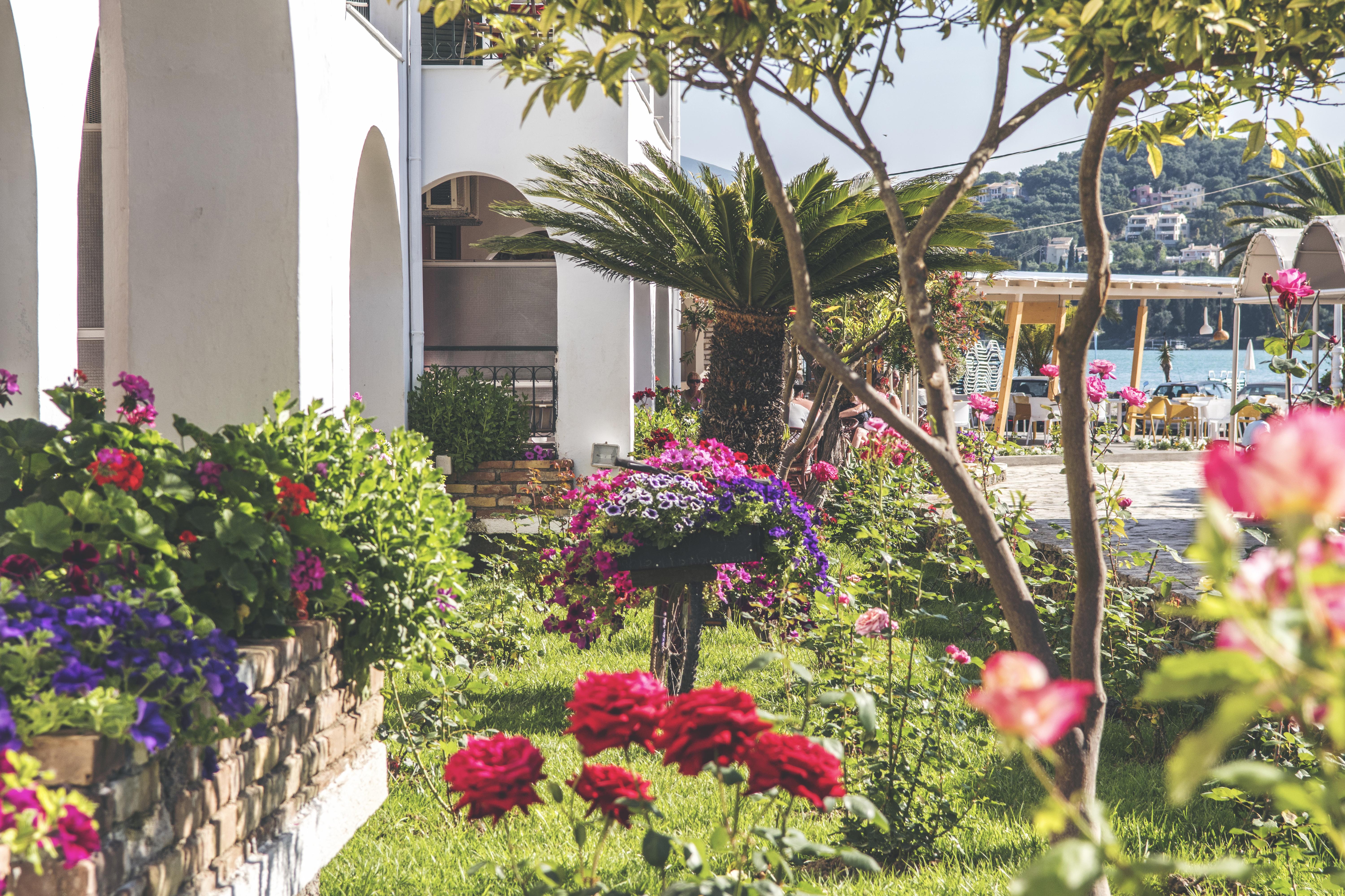 Iliada Hotel 3*